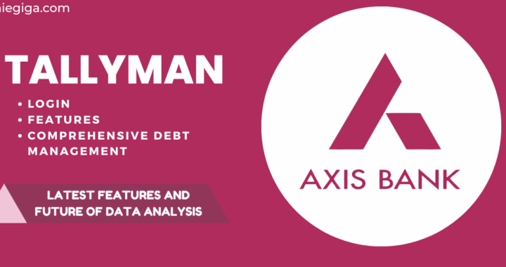 Exploring Tallyman Axis: Latest Features and future of Data Analysis